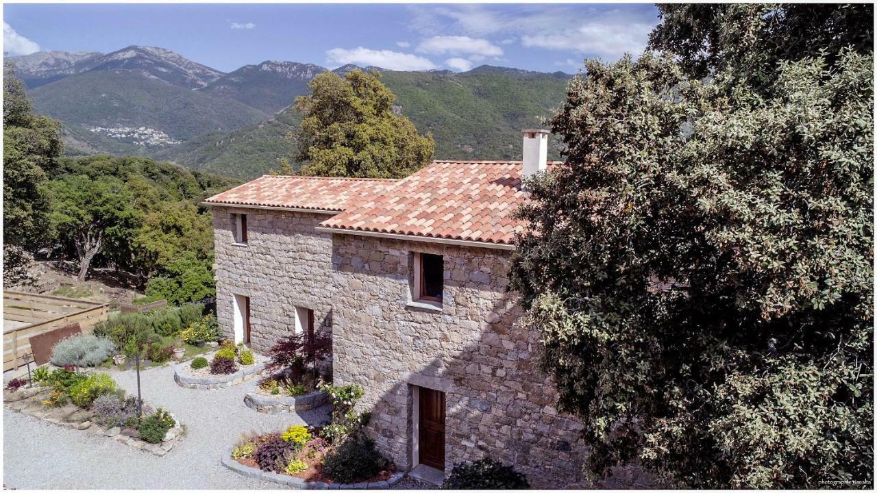 Maison d'Hôtes Zella Bains de Guitera Extérieur photo