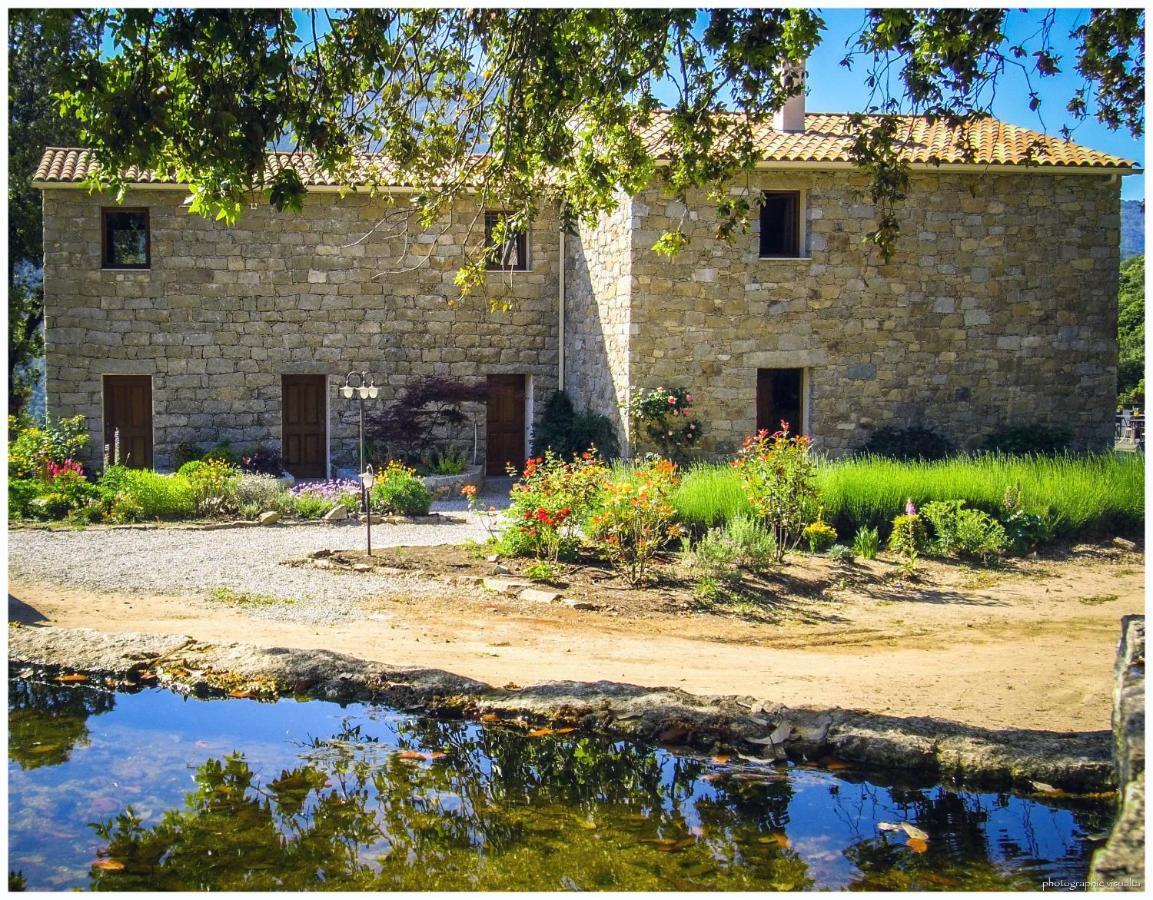 Maison d'Hôtes Zella Bains de Guitera Extérieur photo